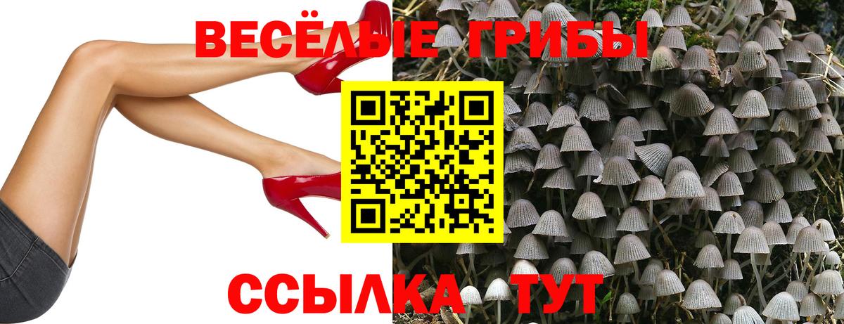 Псилоцибиновые грибы Psilocybine cubensis Альметьевск